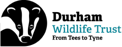 Durham Wildlife Trust logo